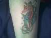 my seahorse tattoo