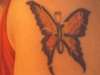 New Butterfly tattoo
