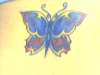 butterfly tattoo