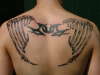 Tom's skeletal wing's. tattoo