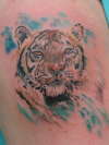 Painted Tiger tattoo