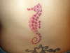 seahorse tattoo