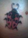 ladybug tattoo