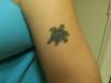 my turtle tattoo