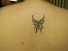 my tribal butterfly tattoo