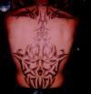 mywhole back tatt tattoo