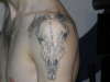 cow skull with brake levers on horns tattoo
