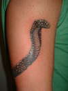 fresh tat i did tattoo
