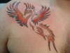 fresh tat i did tattoo