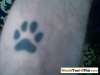 paw tattoo