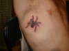 milners spider tattoo