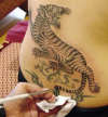 Angelina Jolie's Tiger Tattoo
