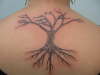fresh tat i did tattoo
