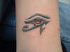 fresh tat i did tattoo