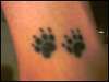 paw prints tattoo