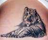 White tiger tattoo