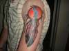 kokapellie tattoo