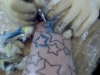 PAIN tattoo