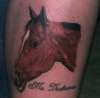 Horse Portrait tattoo
