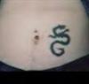 Little dragon tattoo