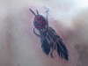 Eagle Feathers tattoo