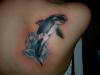 killer whale tattoo