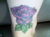 Rose tattoo