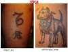 PitBull, Capricorn  & Dangerous tattoo