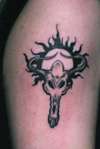 Cow Skull tattoo