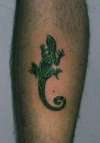 Lizzard tattoo