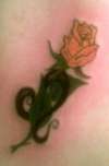 Zodiac Symbol wraping rose. tattoo