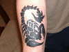 scorpian tattoo