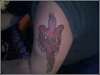 bird2 tattoo