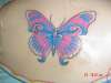 BUTTERFLY tattoo