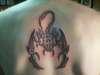 Scorpion tattoo