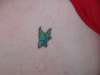 the butterfly tattoo