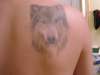Wolf Face Tattoo