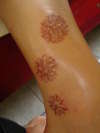 didemnid spicules tattoo