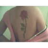 rosas rose tattoo