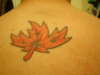 My First tat maple leaf tattoo