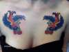 sparrows by scooby tattoo