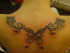 Butterfly/Dragon tattoo