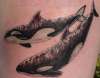 Whales tattoo