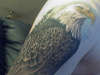Bald Eagle tattoo