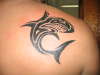 Sharky tattoo
