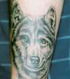 Wolf tattoo