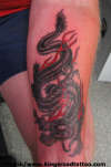 Pirate´s Dragon tattoo