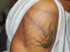 spike tattoo