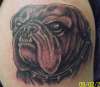 Angry Bulldog tattoo