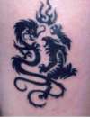 tribal dragon and tiger tattoo